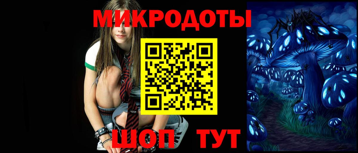 Славгород  Псилоцибиновые грибы Psilocybe  Вход с VPN  Галлюциногенные грибы прущие грибы 