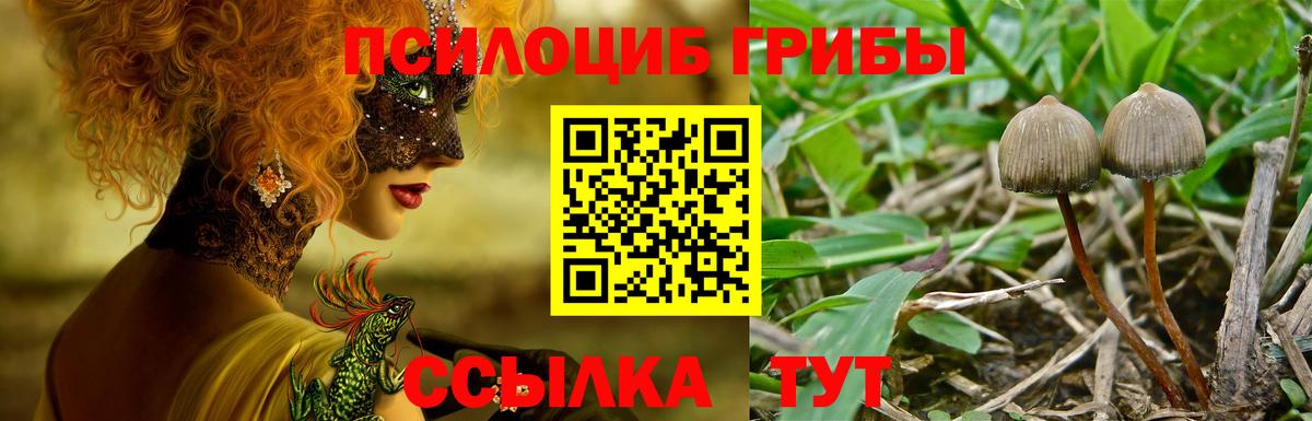 Галлюциногенные грибы Cubensis Славгород